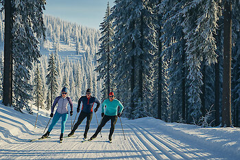 Aktivurlaub und Sport rund um Bayerisch-Eisenstein